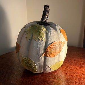 White Fall Pumpkin with leaves 🍃 🍁